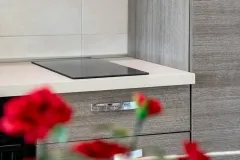 Piano cottura a induzione moderno nella cucina dell'Appartamento vista giardino